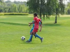 揭秘,湖北法院重,拳出击,凤凰彩票官网,凤凰彩票Phoenix,Lottery官网入口,凤凰彩票网站,凤凰彩票官网娱乐,凤凰彩票Phoenix,Lottery,凤凰彩票Phoenix,Lottery登录入口