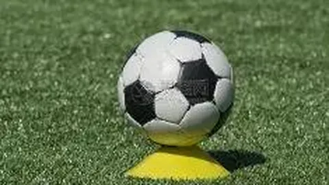 奥运团结资金延长至2025年 涉及1600余名运动员援助