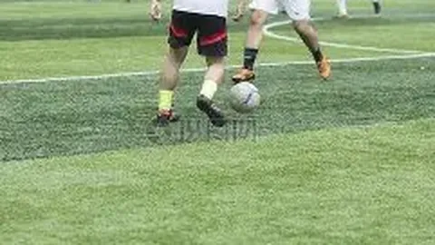 凤凰彩票 产品 034447 ns8