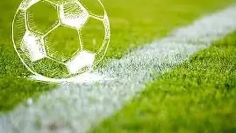 凤凰彩票 产品 111721 ean