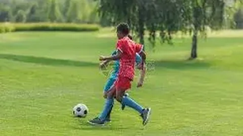 揭秘：湖北法院重拳出击，前泰达球星白某峰因华夏35万消极比赛罪判监一年！