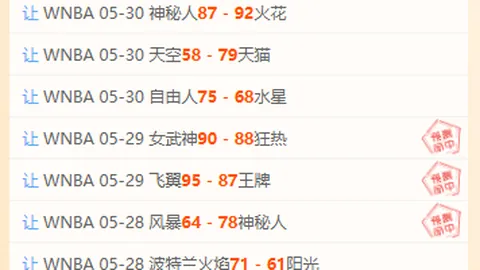 2026上海赛场风波：球迷闪光灯罚金1万，布朗狂踢通道被罚2万